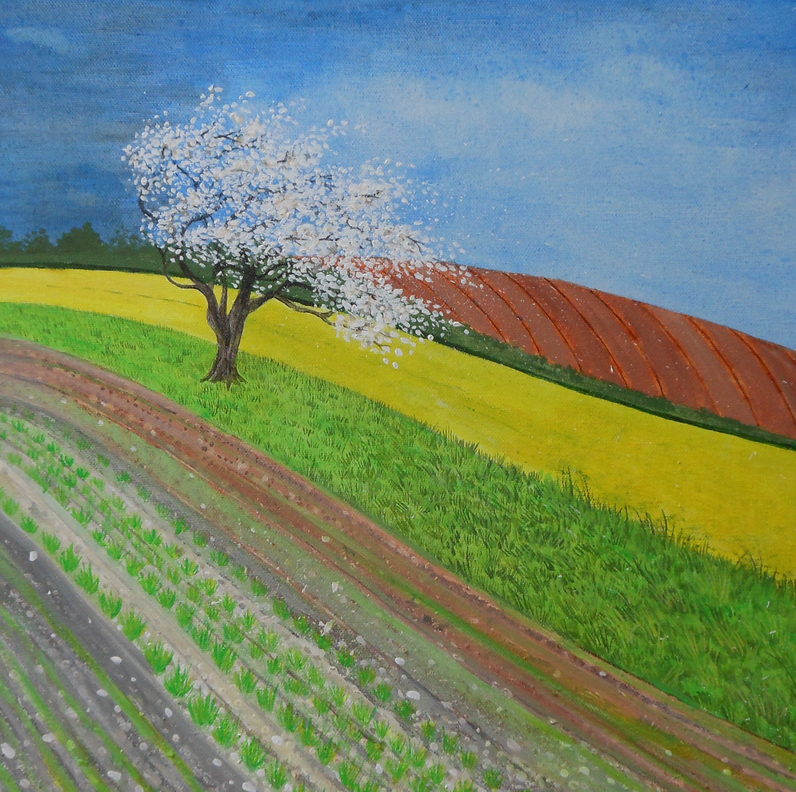 Well Dressings Bakewell